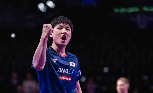 9you娱乐-关于法国乒乓球队完胜德国乒乓球队，张本智和高光表现的信息