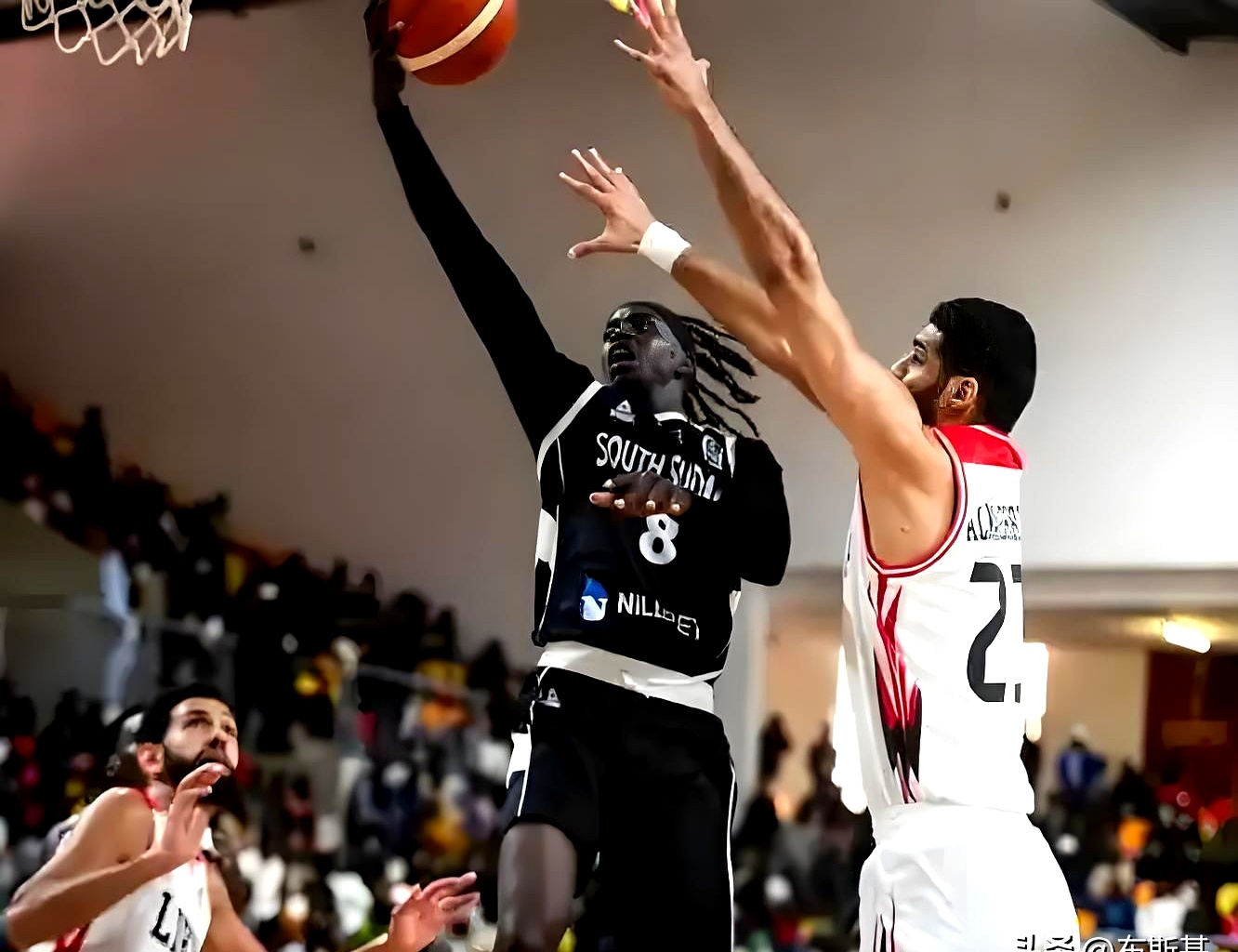 非洲杯篮球锦标周五将展开争夺