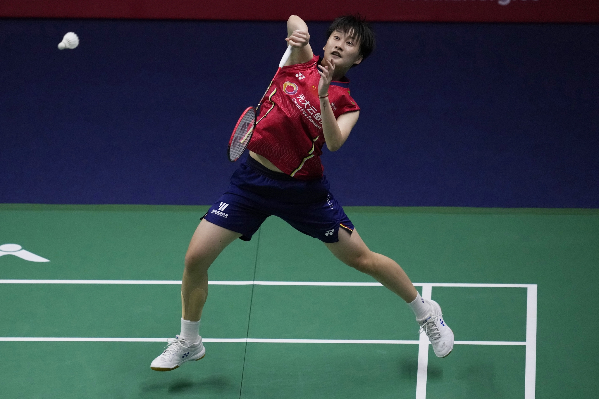 韩国队逆转德国队，陈雨菲高光表现的简单介绍